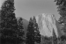 Yosemite Nat Park - El Capitan, California - United States of America